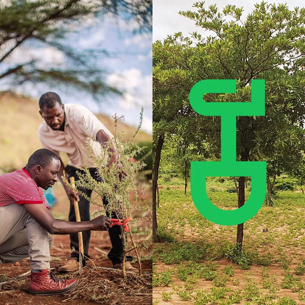 ree