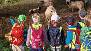 Herbstwanderung