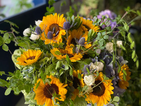 7月の季節のお花
