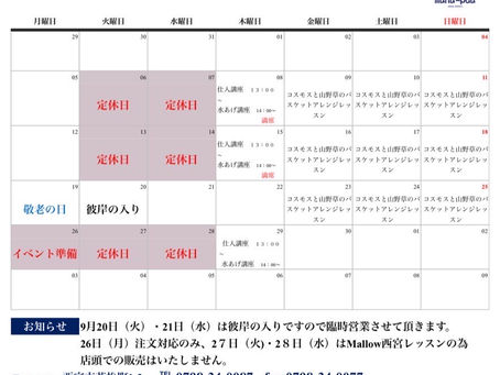 9月のスケジュール