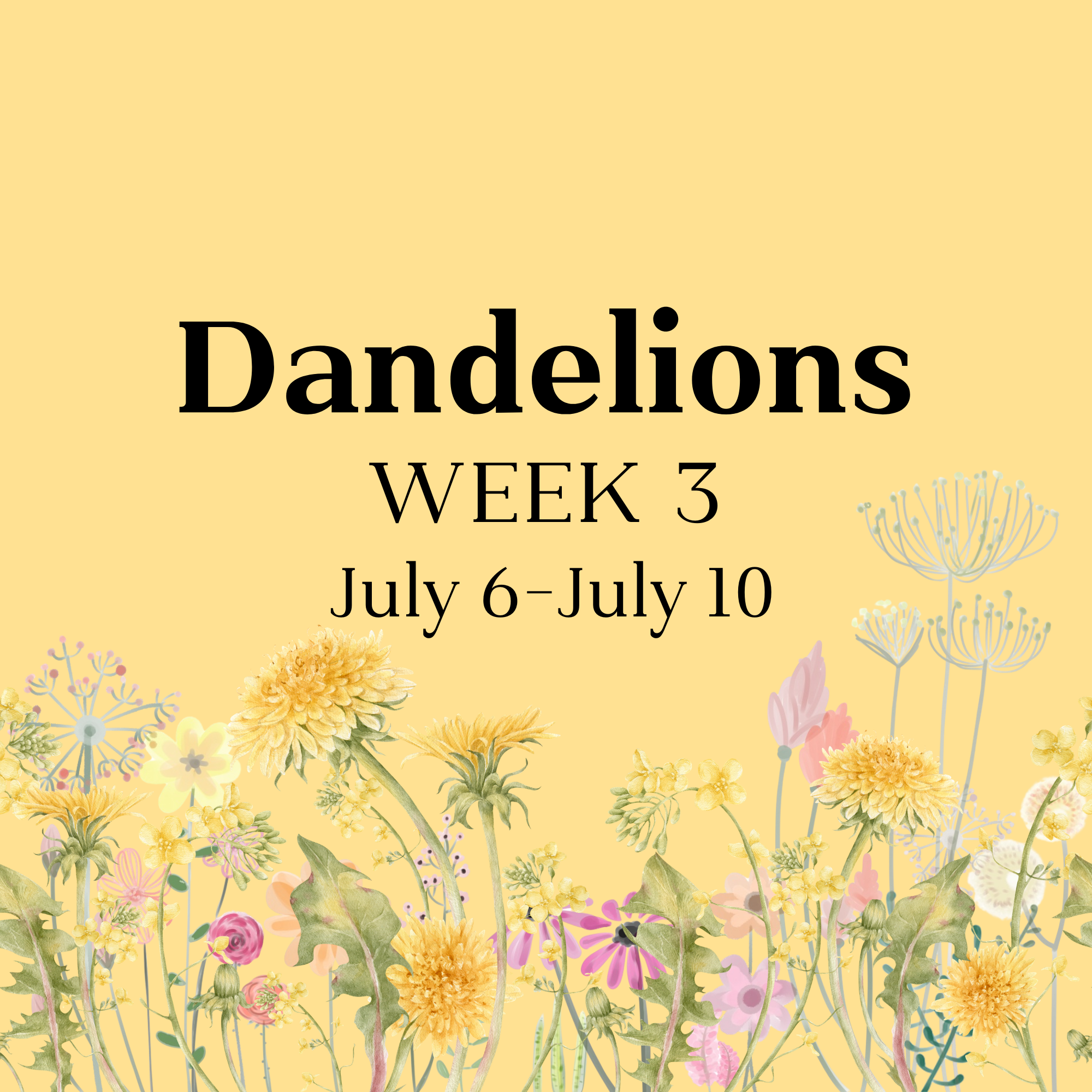 Summer Camp: Week 3