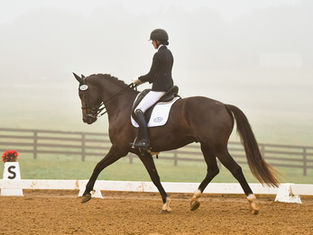 Unveiling A New Era: Miramonte Equine's Breakout Success in Hosting Recognized Dressage Shows
