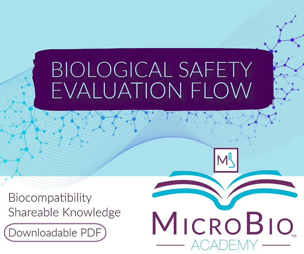 Thumbnail: Biological Safety Evaluation Flow