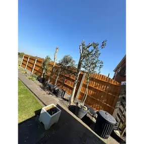 A picture of a garden with a new garden fence