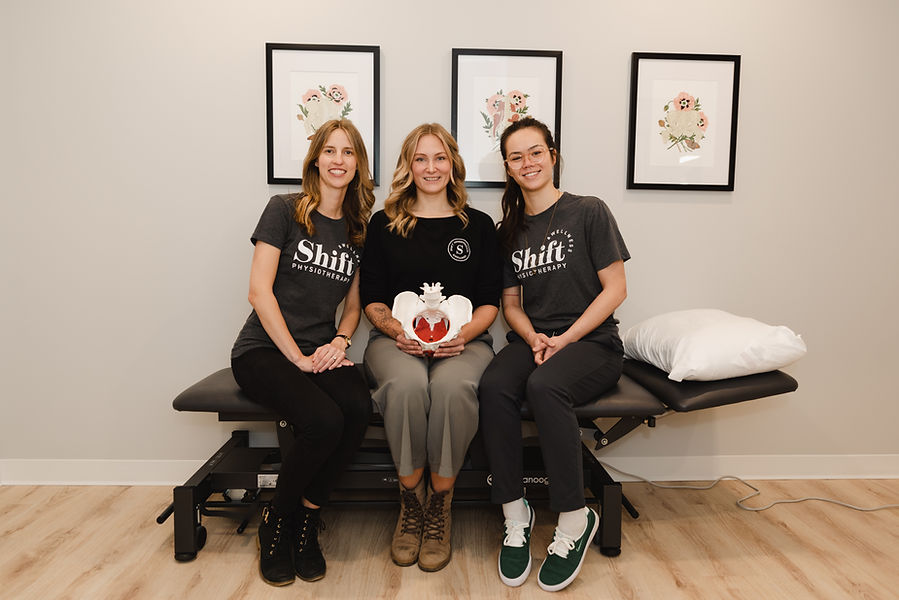 the team of pelvic floor physiotherapists at a physiotherapy clinic in edmonton