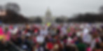 women's march 3009.JPG
