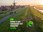 groep wolven in Nederland met zwaaiende mensen op de achtergrond