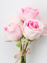 Onnockx banner-02.jpg