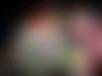 Vil ook eens een everzwijn...