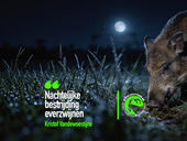 Nachtelijke bestrijding