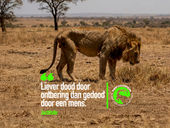 Zielige-diertjes-mentaliteit.