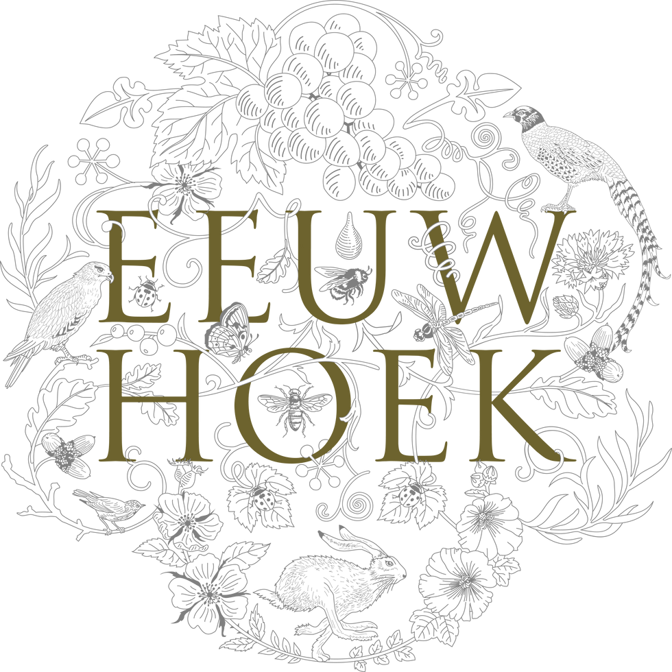 Eeuwhoek logo 2026.png