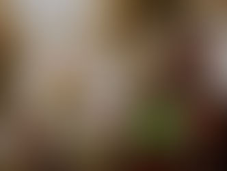 Over uitzetten van wild, plezier- en trofeejacht.