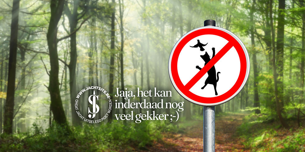 nieuwe borden in nederland