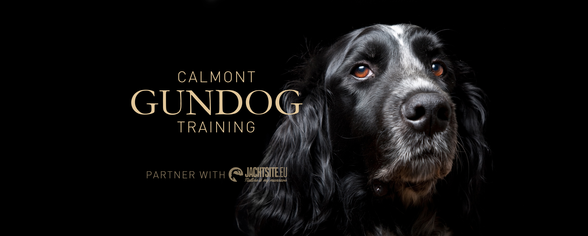 Calmont Gundog Training vzw