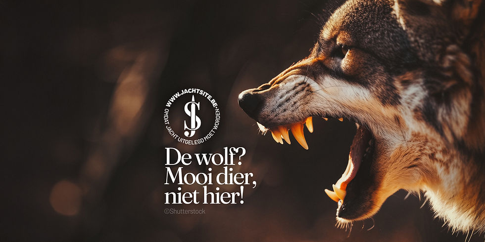 wolf met open muil
