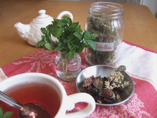 Growing a Tea Garden