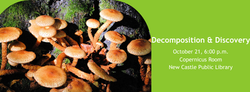 Decomposition and Discovery
