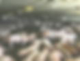 scan_edited.png