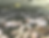 scan_edited.png