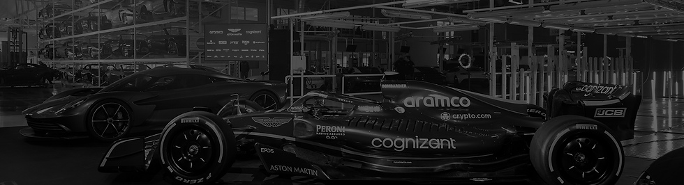 AMR_banner-02.png