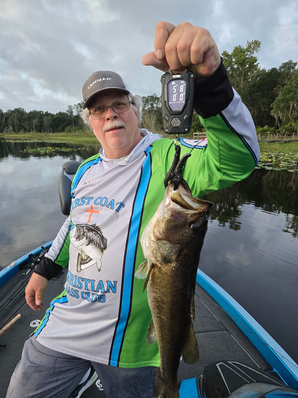 Tims Bass Little Orange