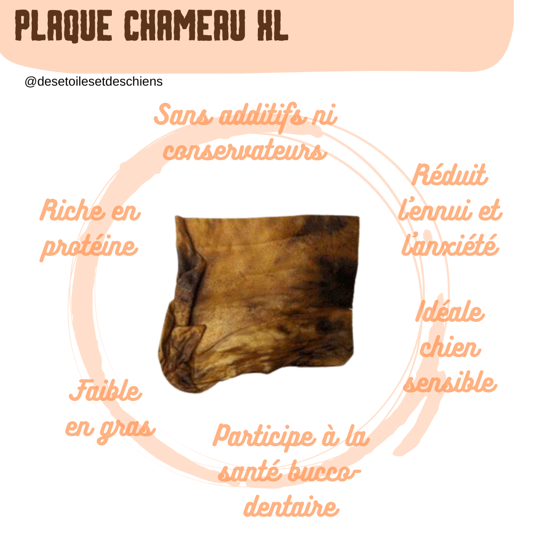 Plaque peau de CHAMEAU - Friandise pour chien