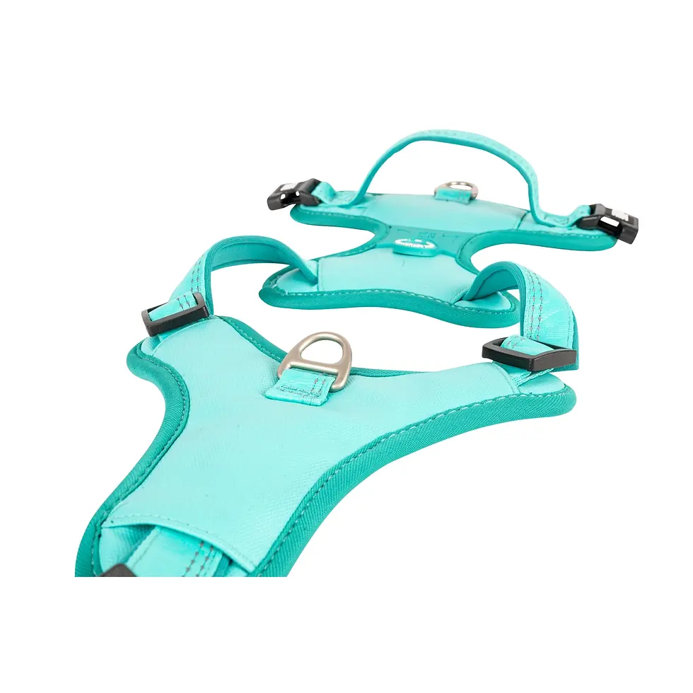 Miniature : Harnais Gotcha! Matrix 2.0 - Turquoise