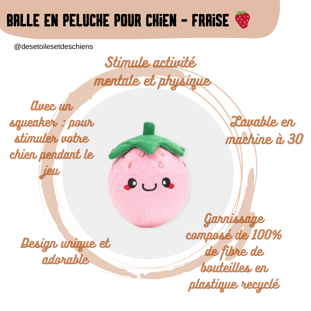 Balle en peluche pour chien - Picnic Time Fraise 🍓 - HugSmart