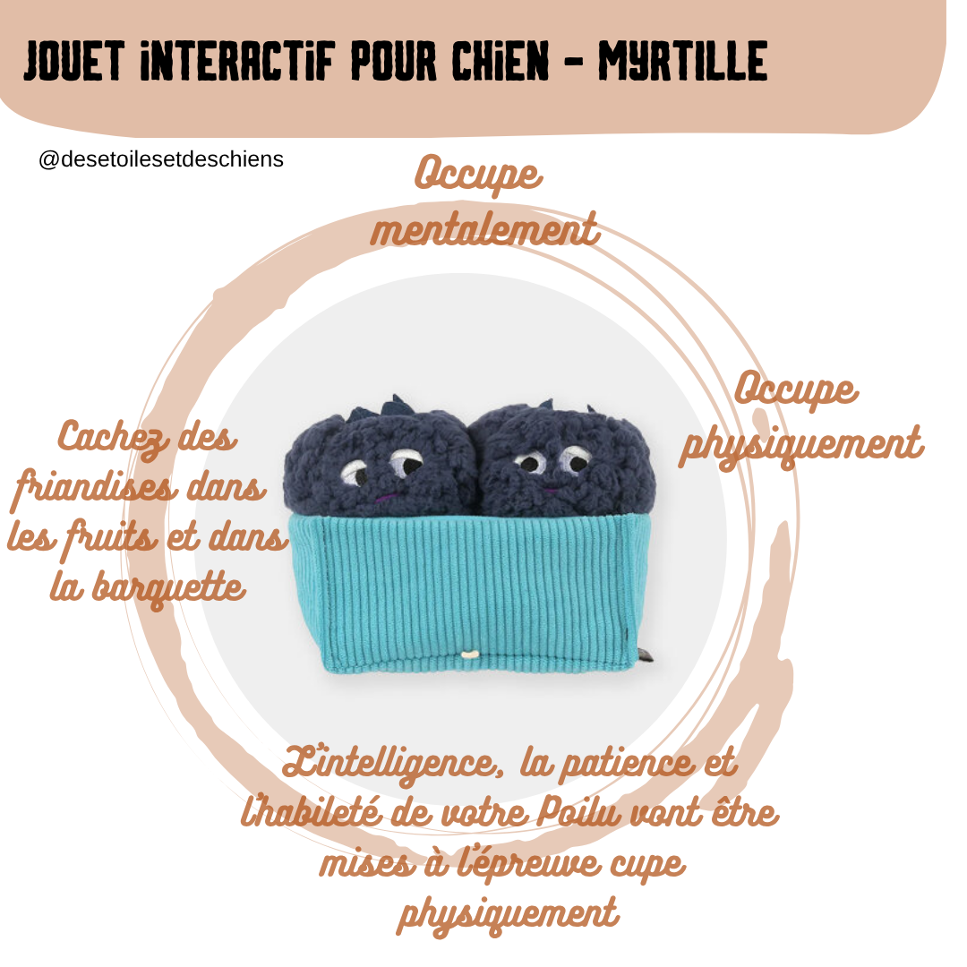 Peluche pour chien - Farm Fresh - Myrtille 🫐 - Pet PLAY