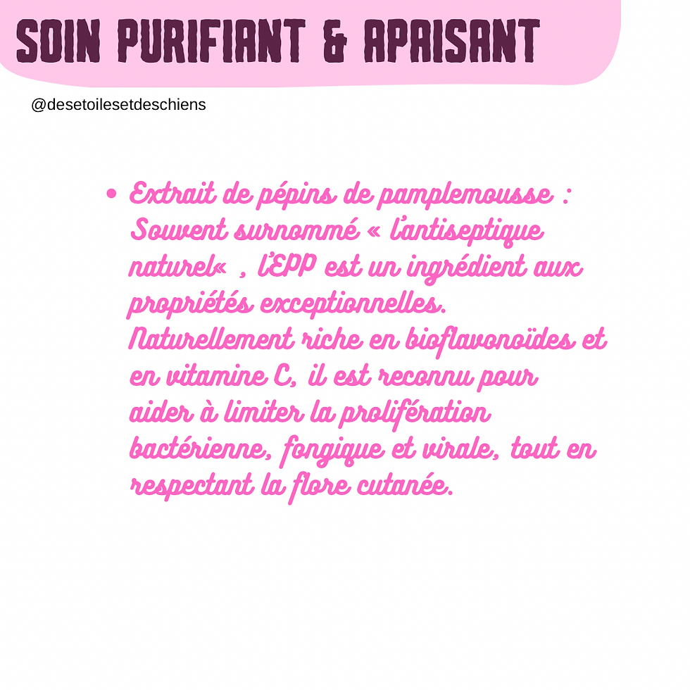 Miniature : Soin purifiant et anti-démangeaisons pour les chiens