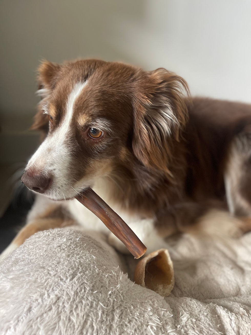 Miniature : PACK ANIMA3 - 3x250g de stick de peau de 15 cm pour chien