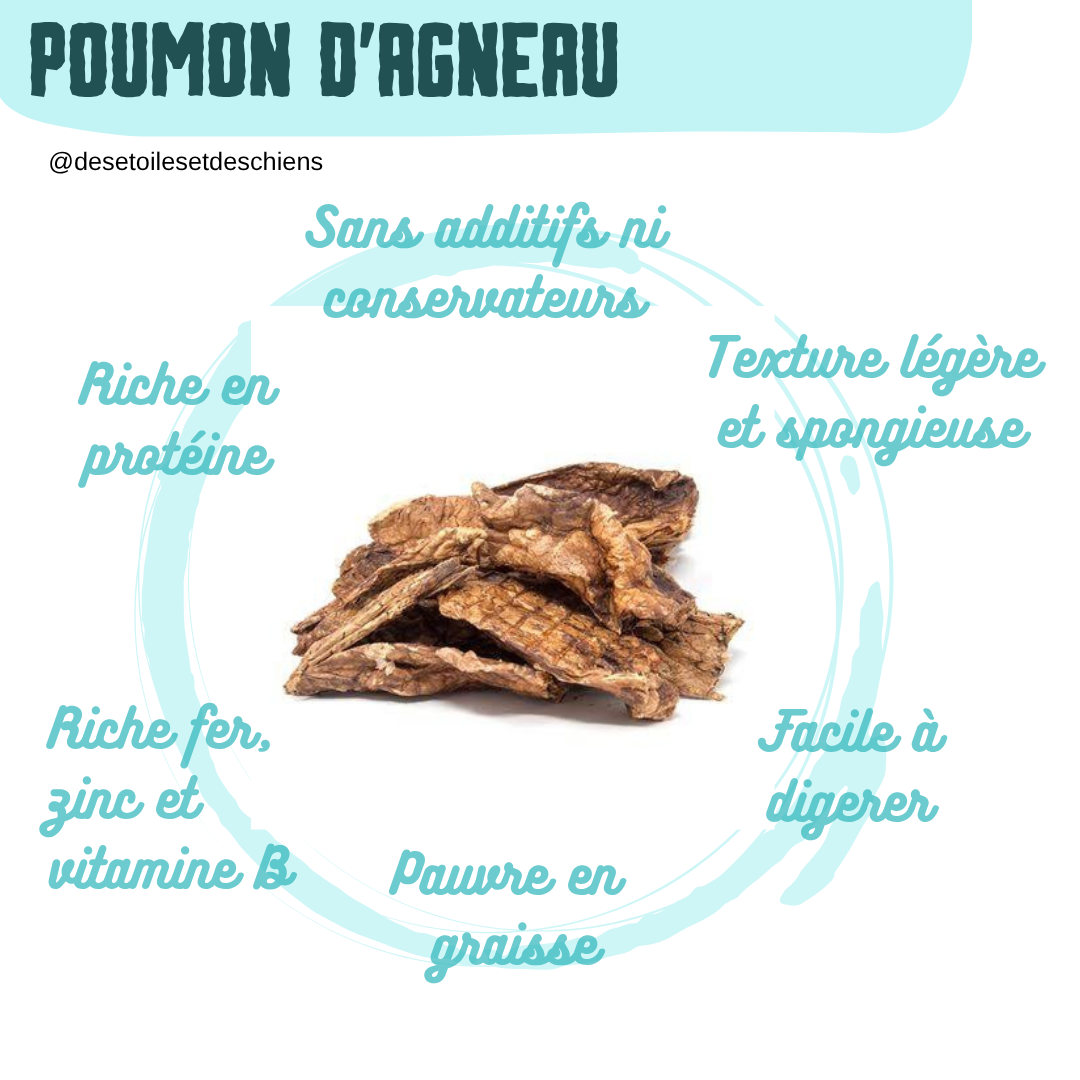 Poumon d'agneau pour chien