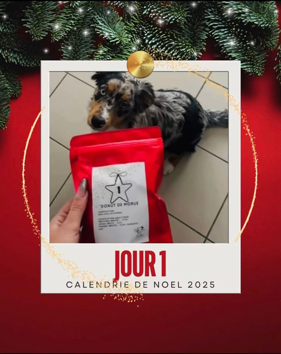 Miniature : 🎅CALENDRIER DE L'AVENT GEANT