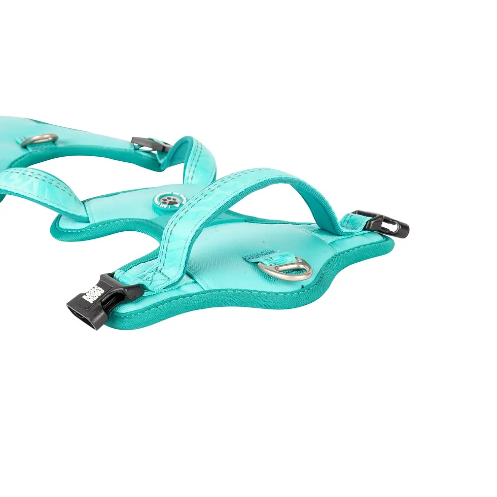 Miniature : Harnais Gotcha! Matrix 2.0 - Turquoise