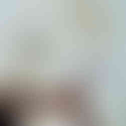 포멜라토 교육 프로그램 1.