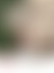 불가리 베니스 비엔날레 포스터.