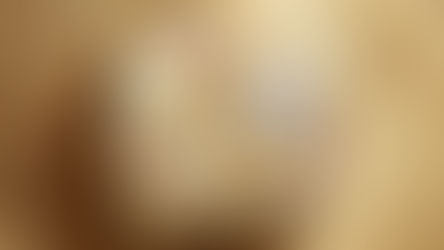 불가리 마글리아 밀라네즈 모네떼 · 투보가스 망셰트