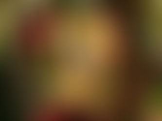딥티크, 뉴 썸머 컬렉션