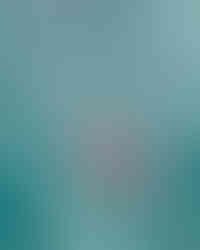 티파니앤코 하이 주얼리 컬렉션 블루북 2026 히든 가든 봄 컬렉션 자스민.