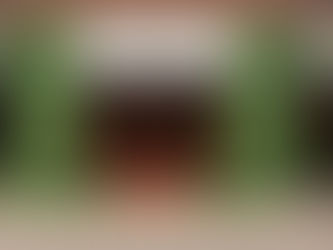 그린 톤으로 꾸민 메종조 청담점.