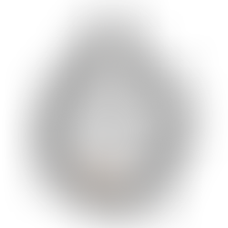 반클리프아펠 링