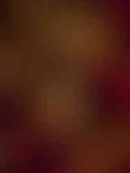 겔랑, 압솔뤼 알레고리아 로즈 아마라