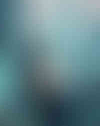 티파니앤코 하이 주얼리 컬렉션 블루북 2026 히든 가든 봄 컬렉션 비.