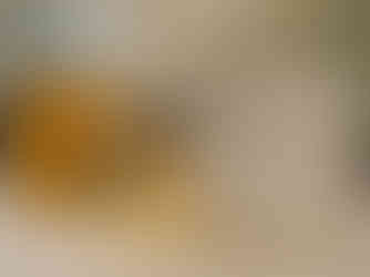 불가리 이터널리 아이코닉 팝업 스토어 전경.