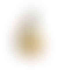 티파니앤코 하이 주얼리 컬렉션 블루북 2026 히든 가든 봄 컬렉션 파라다이스 버드.