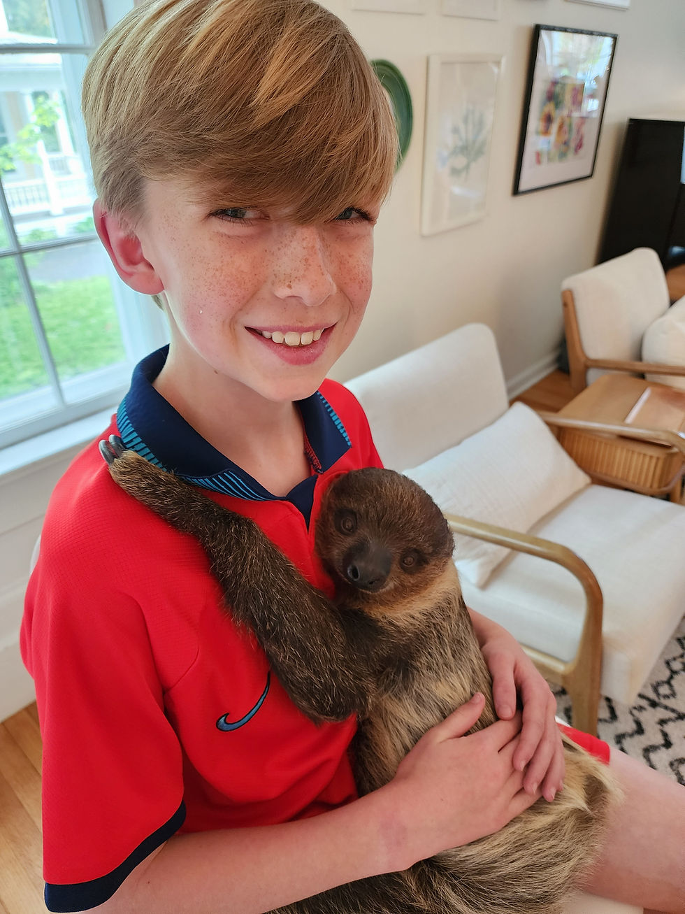 SLOTHS, LIZARDS & POEMS! 