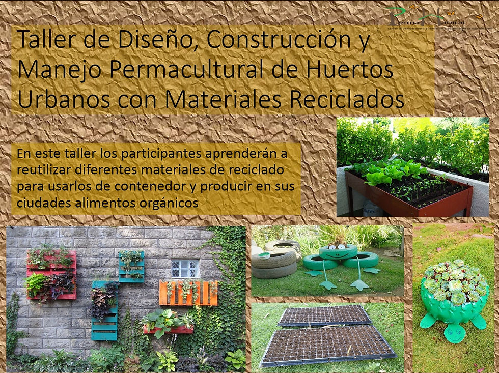 talleres 7