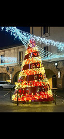 Vigilia di Natale L'Albero 10.jpeg