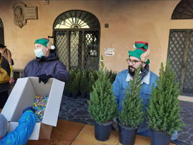 ADOTTA UN ALBERO 2.jpeg